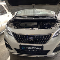 PEUGEOT 3008 DI PRİNS VSI 3 DI EVP REGÜLATÖR OTOGAZ DÖNÜŞÜM GÖRÜNÜM